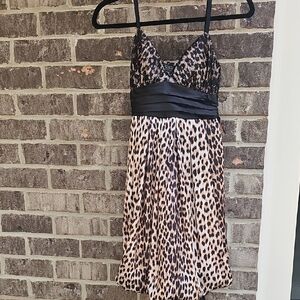 City Triangles Animal Print Dress with Black Lace